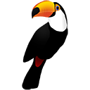 toucan.png