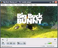 vlc_portable_small.png