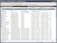 WinMerge Portable Screenshot