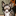 noodlekat's picture